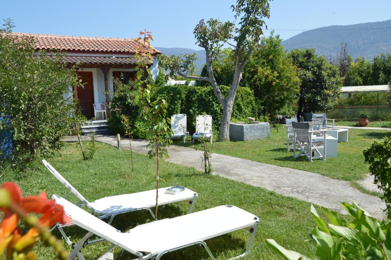 Mr. Greek Villa Петра Екстер'єр фото
