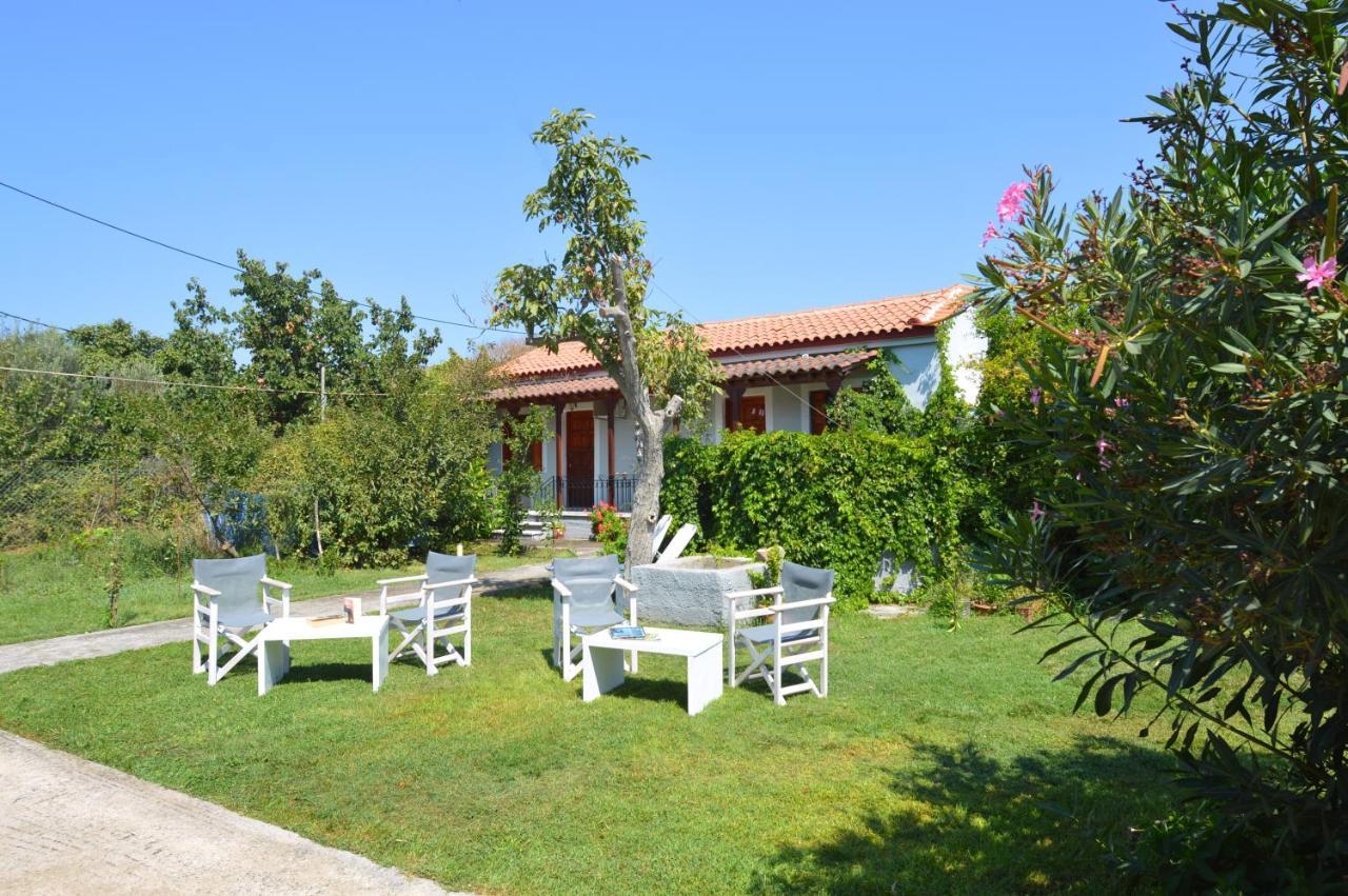 Mr. Greek Villa Петра Екстер'єр фото